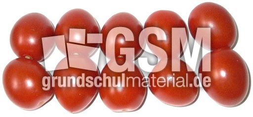 Tomaten-10B.jpg